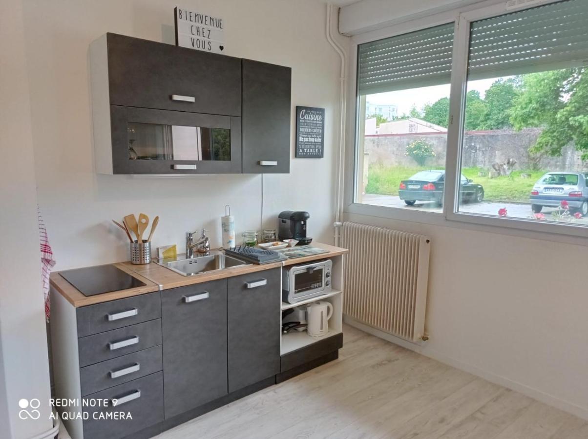 Appartement La Roseraie Parking Prive Mâcon Esterno foto