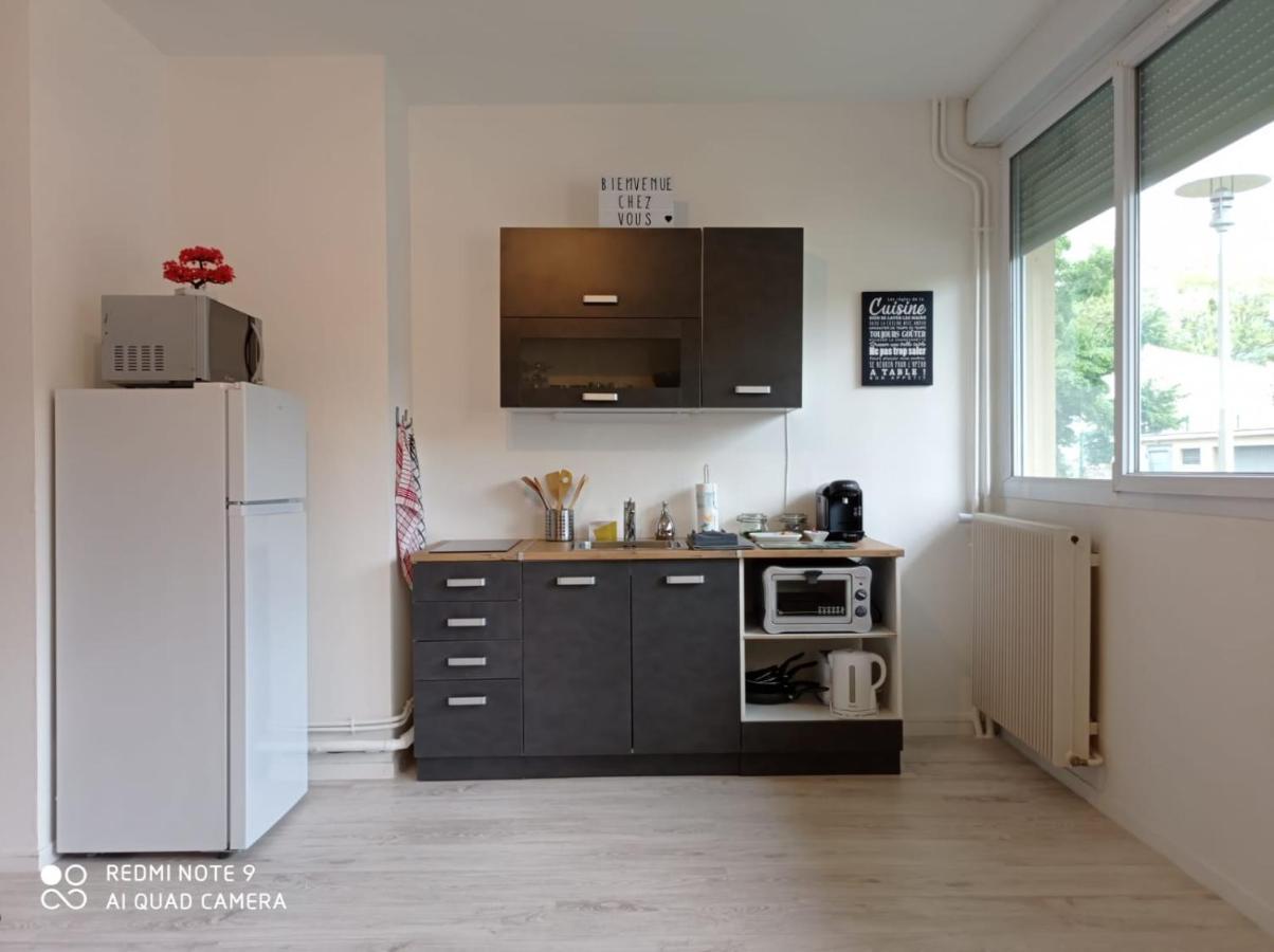 Appartement La Roseraie Parking Prive Mâcon Esterno foto