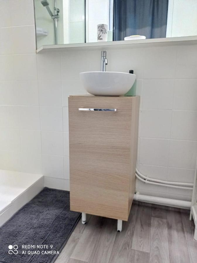 Appartement La Roseraie Parking Prive Mâcon Esterno foto